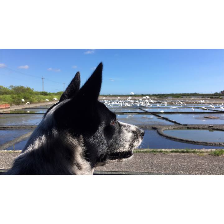 501f3f76 5c7b 416a b826 a018b76e5178