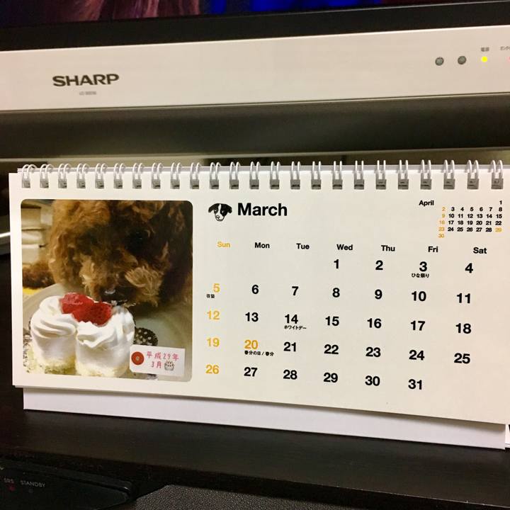 501f5324 7a40 4073 a7c5 3bd875c57265