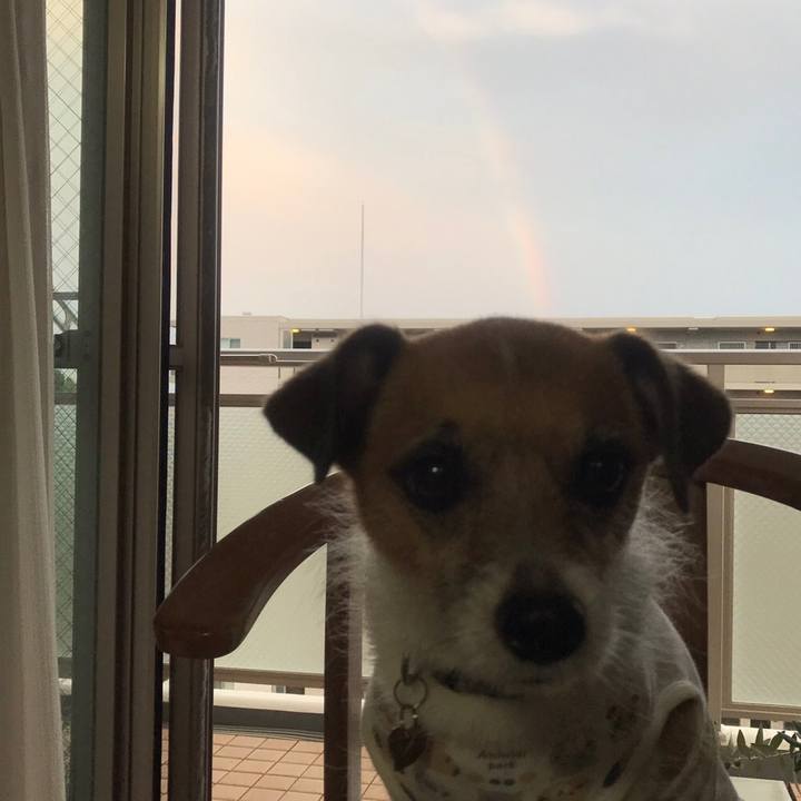 501f94a1 3af7 4f94 94be 3bfb5c2b0ee1