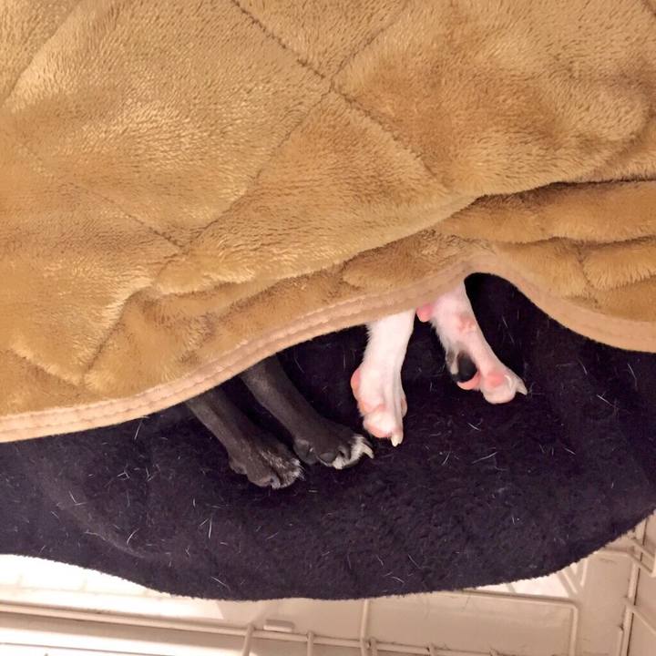 502035ac 09fe 4523 a978 b4b7e69698f7