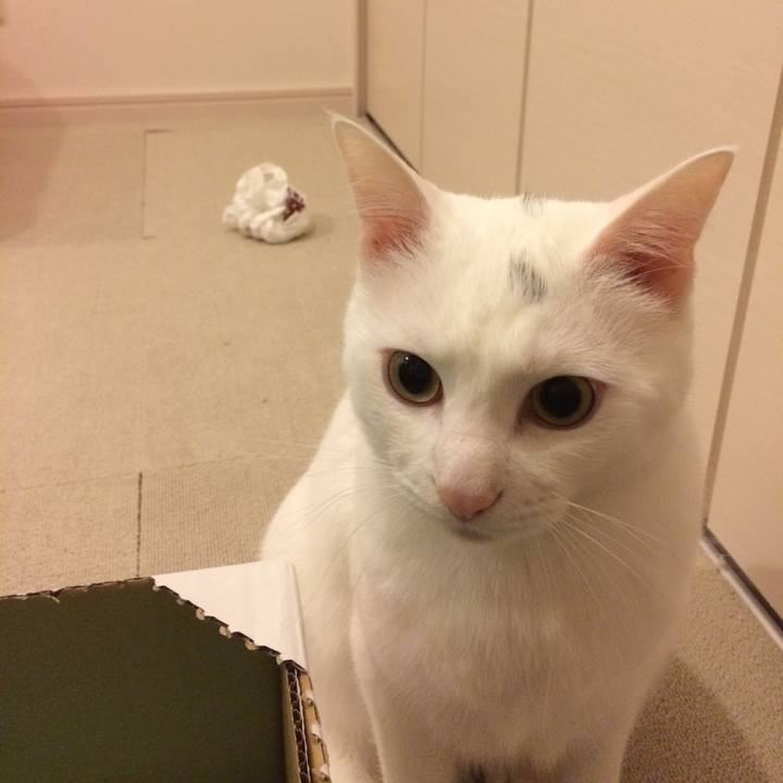 502134d0 b7b2 48f3 b35e 23ad10298ad0