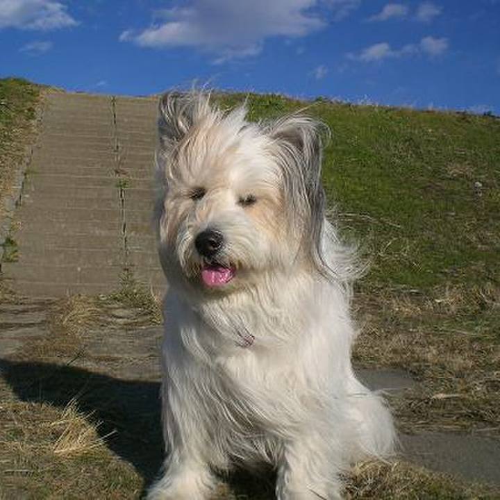 5021520c 0583 4b91 af92 dfc3cdee9ff4