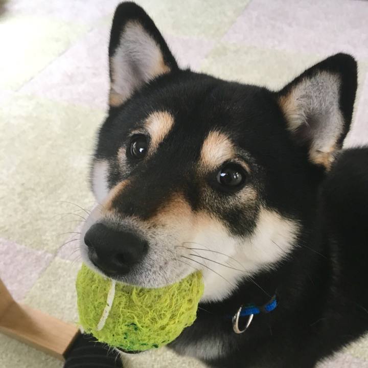 50216ec1 902f 49b5 a533 9afc62f5928a