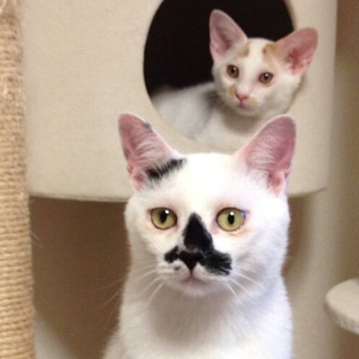 502231f4 b411 4de2 90b7 941a319792ff