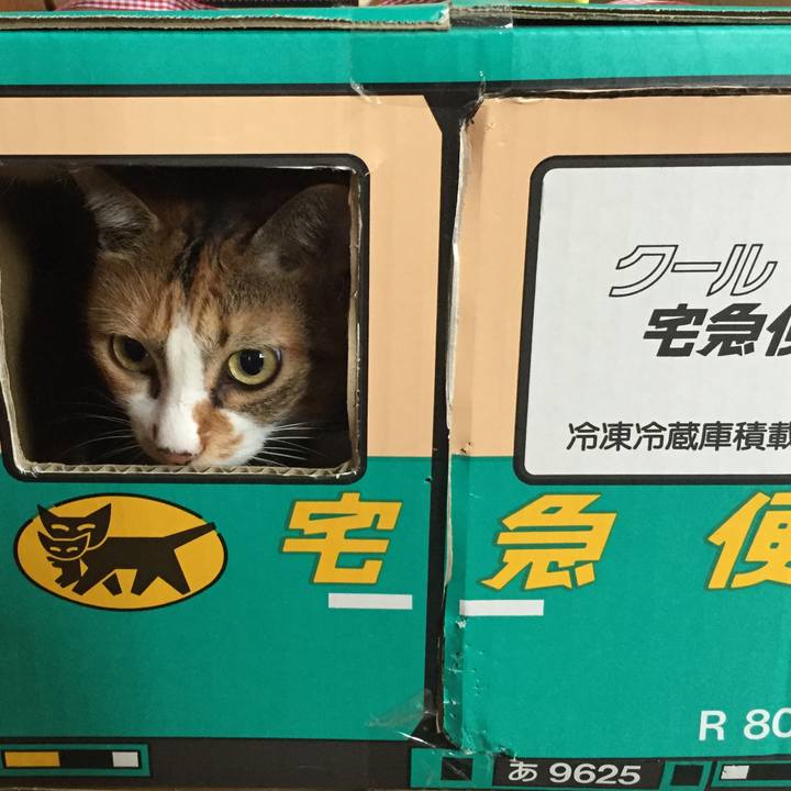 50229270 75fd 4fea a697 d2d0cf9e4b21