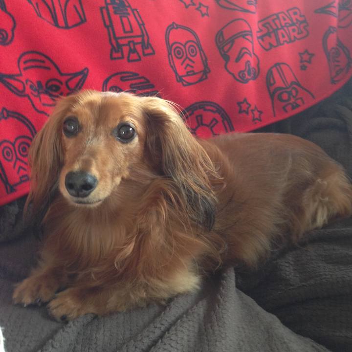 50234141 b1f1 4ff0 97fc dd2b53869d16