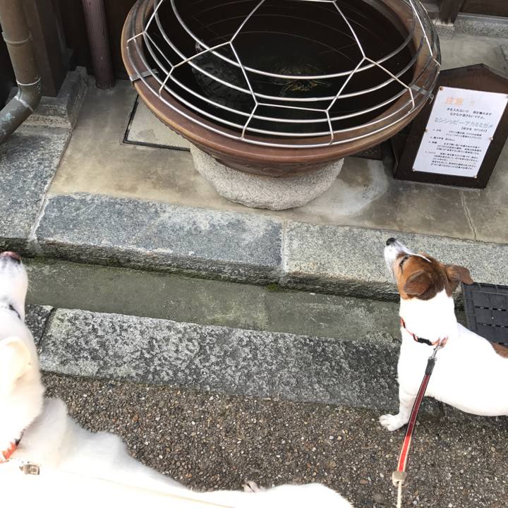 5023901c 786e 462f 941d 81d399e5f1e6