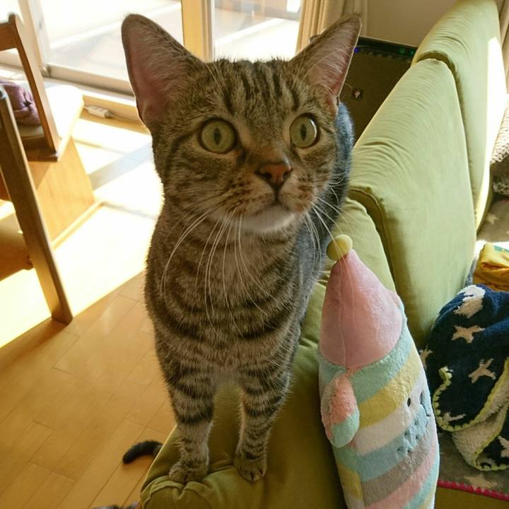 502435de e773 4c91 87d9 8c30fbf25aca