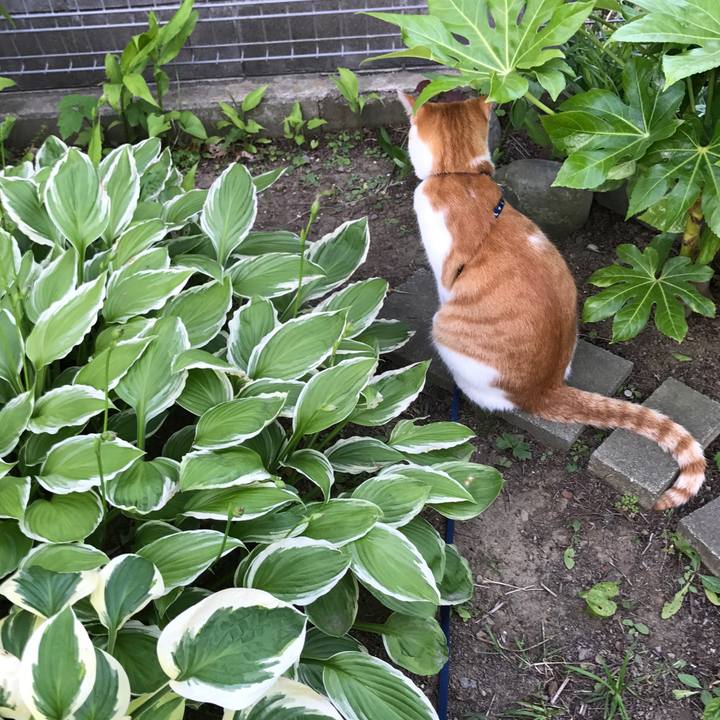 5024afed 62e7 4e28 878c 8fc31d5f6b95