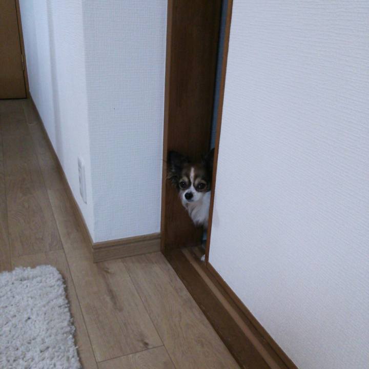 5024bada 1a6c 4d3b 8568 840a190a9602