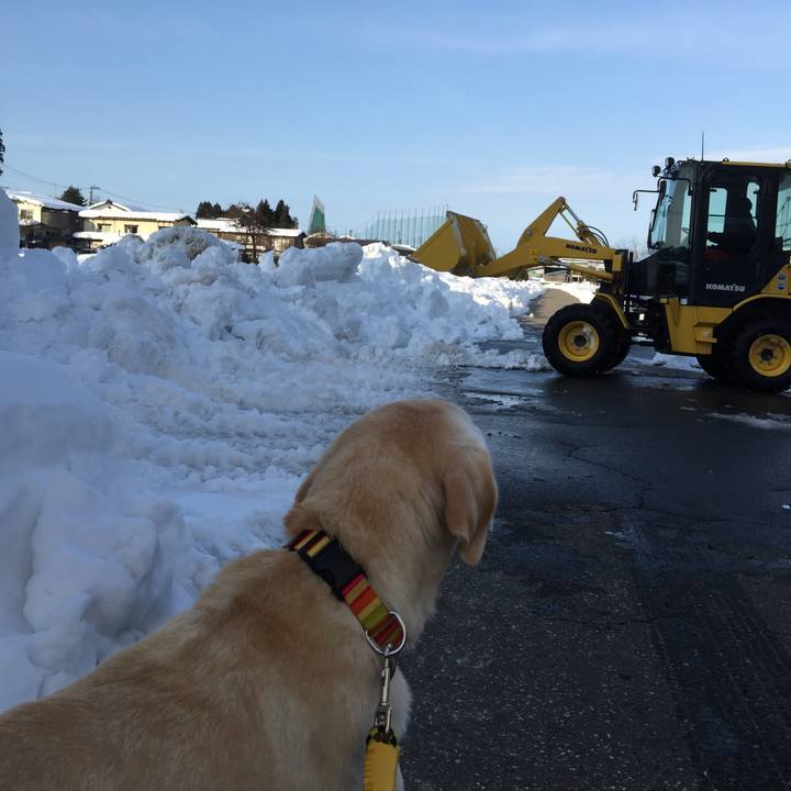 5025c1ba 213d 41ab 8520 78c5cbde71b9