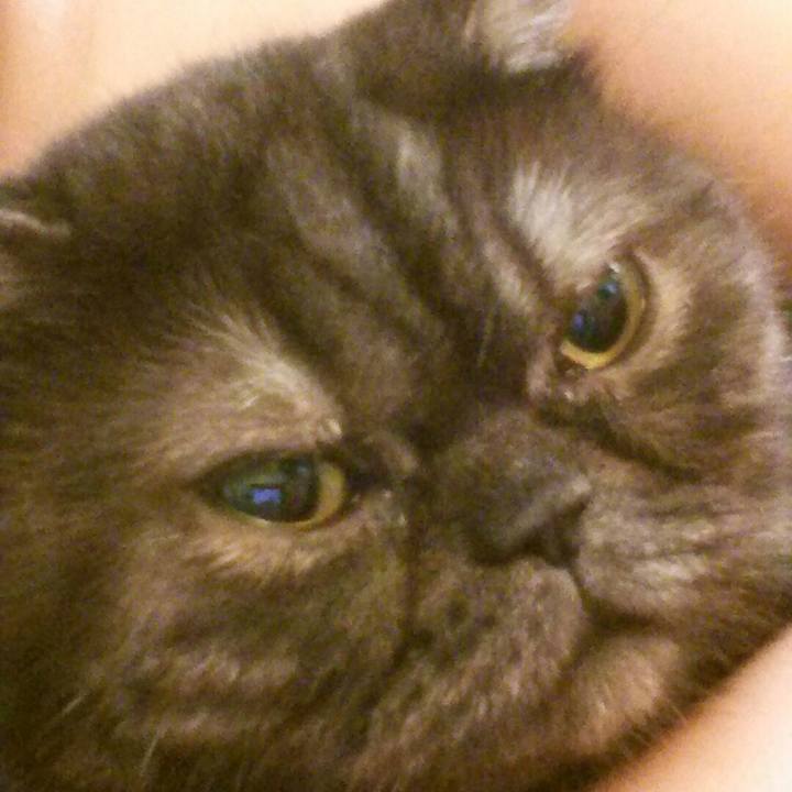 5027030f 8faf 4dda b977 a6459fc375e4