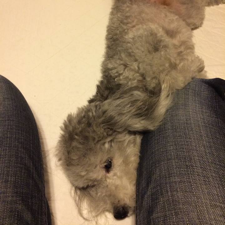 5027bded 678a 4a67 948f edebf5a2af49