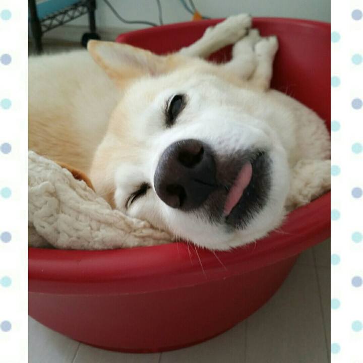 5027f69b 62b5 4c33 82f4 3255c74905c8