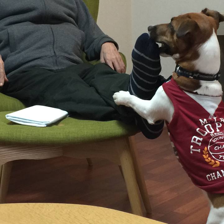 50280ba1 a132 4cc1 afcd 5c64c3cdc480