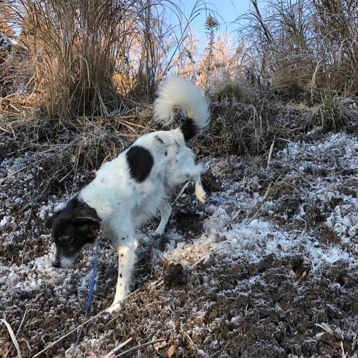 50283205 f438 45a0 aad2 c0a0c608b5c0