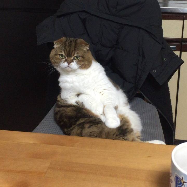 50285844 fc53 4677 8ad6 4949304dbdf8