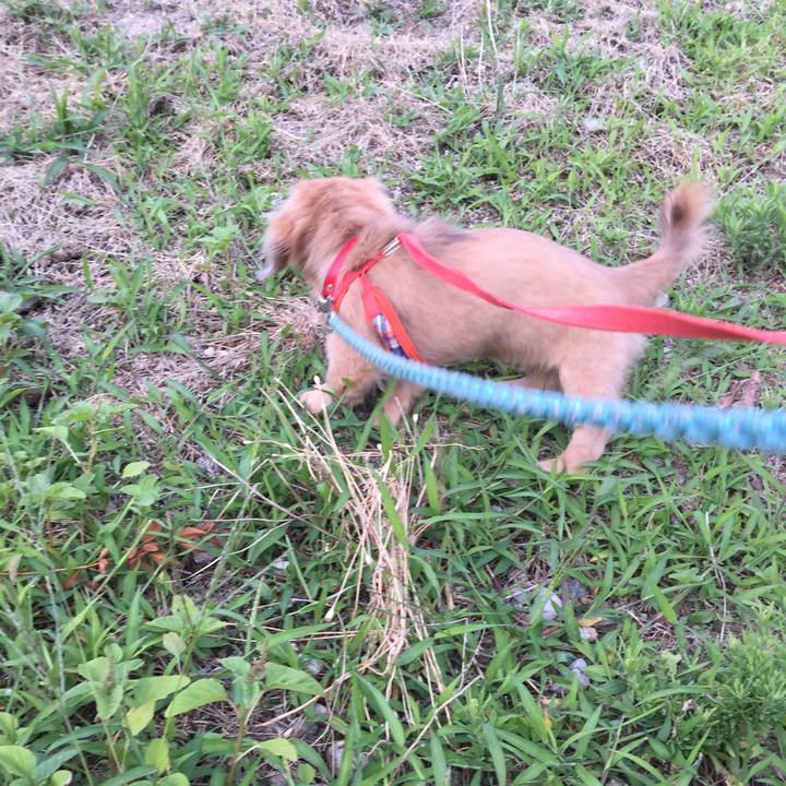 50288758 d0b4 4281 a542 8b86c789ea61