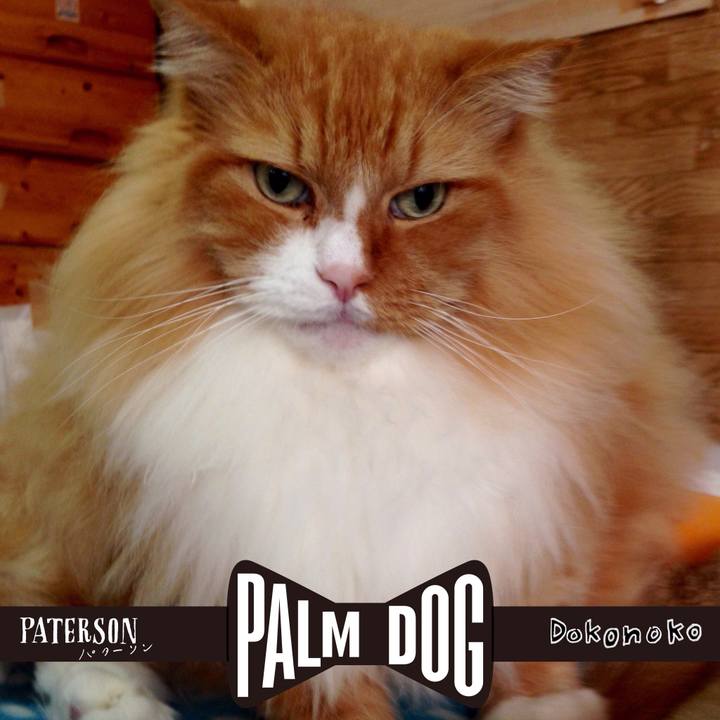 502889f7 9aa4 459e 865e 602a1e1cdcb6