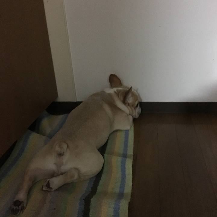 502908ad cd33 4213 a492 76eaba259247