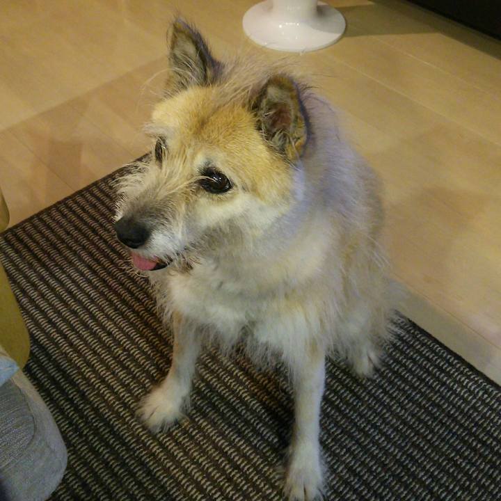 5029710b feb4 4326 9728 c23a44844513