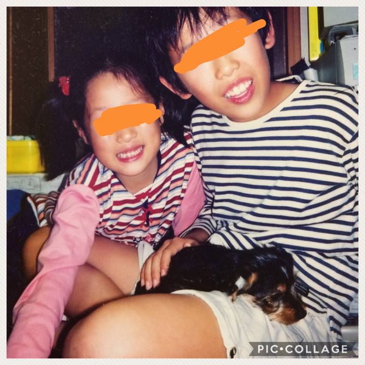 502a0e75 d77d 45cf a16a e016d136110f