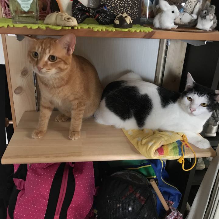 502a2202 23cb 452a 8ec9 de96f59814c7