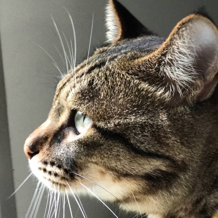 502a265f ab8b 47d3 85fd 0b88da375544