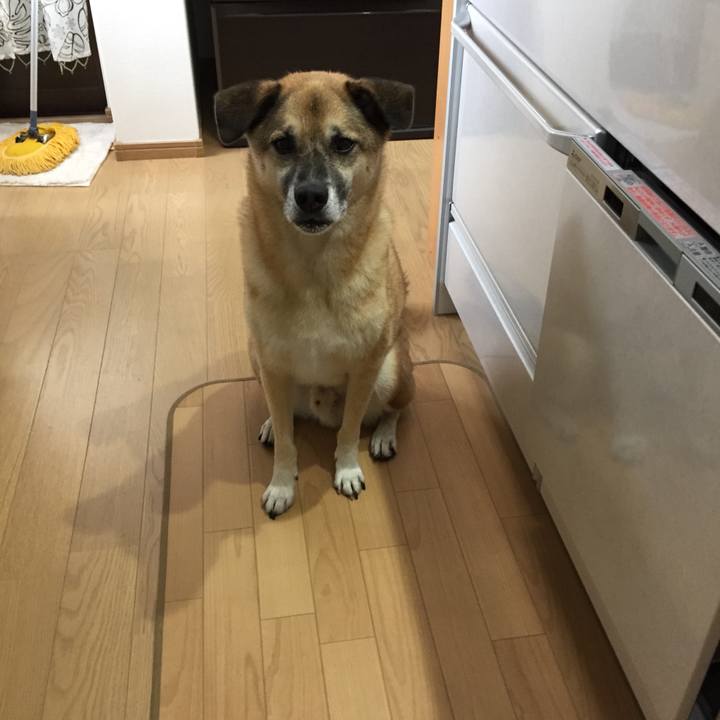 502a9064 5e75 4c22 8e01 2b1b9758a454