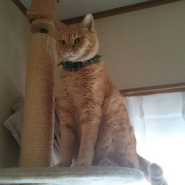 502b1923 b24f 4c94 9010 57b97be3272b