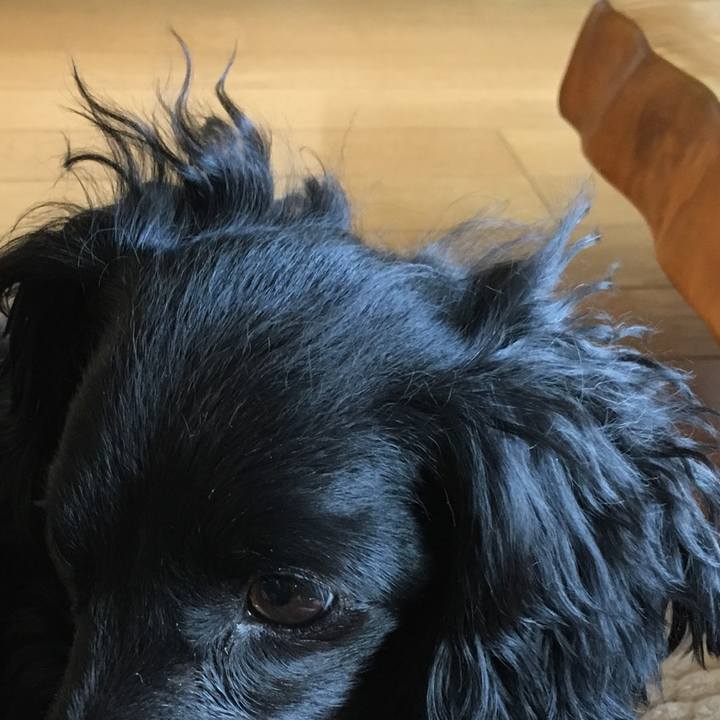 502b1db6 bc57 422f a2bb 3252af023064