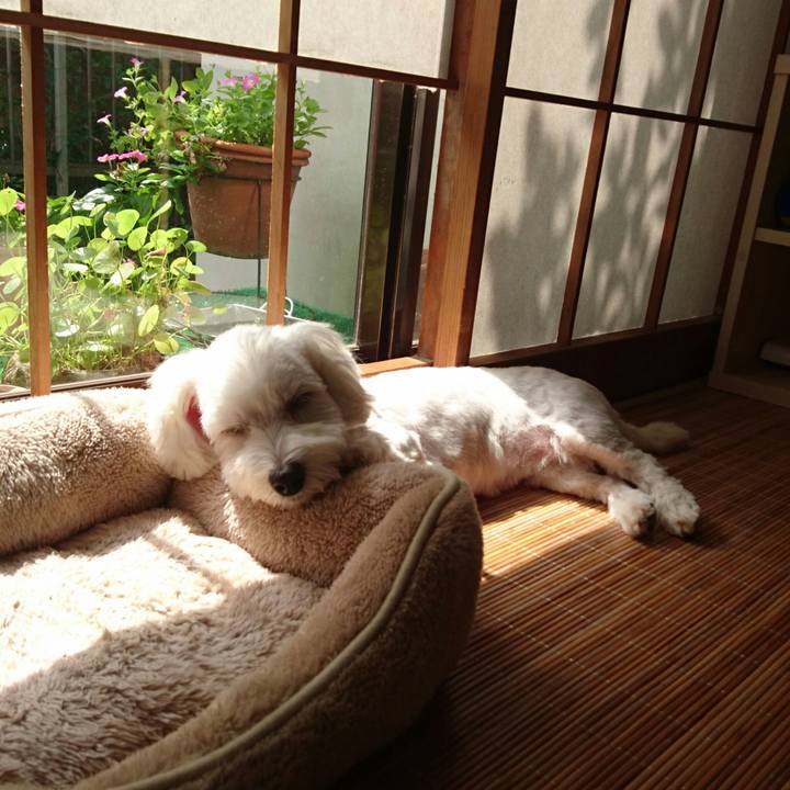 502b217b 724c 467f 9646 e85f75bb62c3