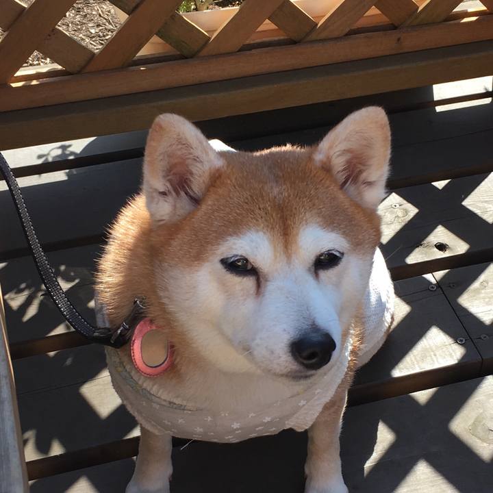 502b2d9e d16a 42f2 8b3a dfd5e1d71b33