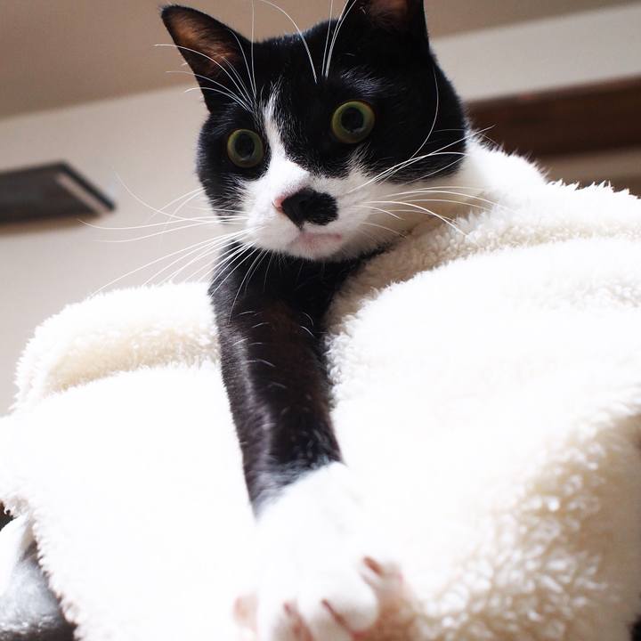 502bdd23 da14 4f79 a8df 141a382a6cc5