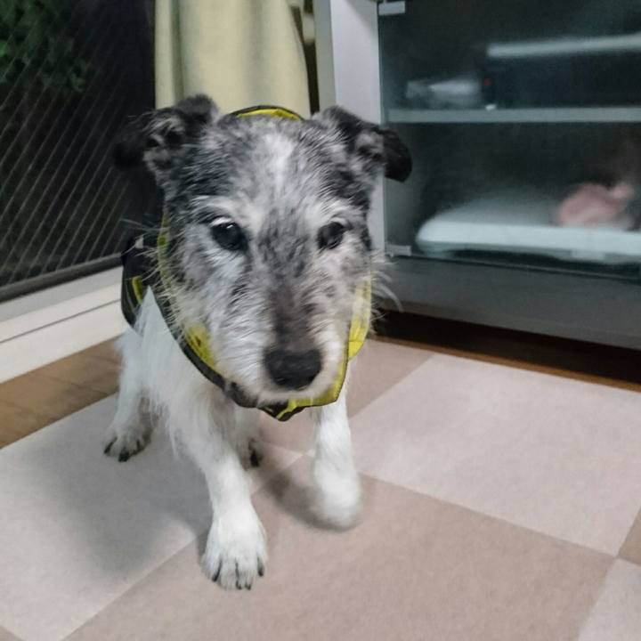 502be418 d301 42fa 8512 0ac7ab31db7d