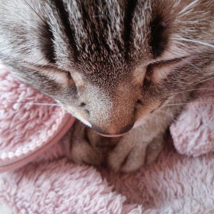 502bf8ef b684 48e7 85b0 f863018c09a4