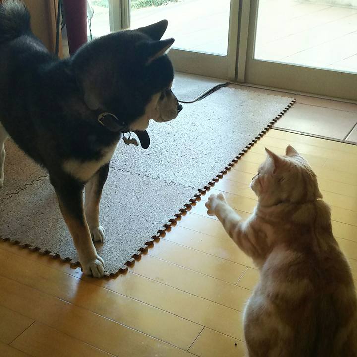 502c03c7 9b9e 4dd4 bed7 d1a2336008a1