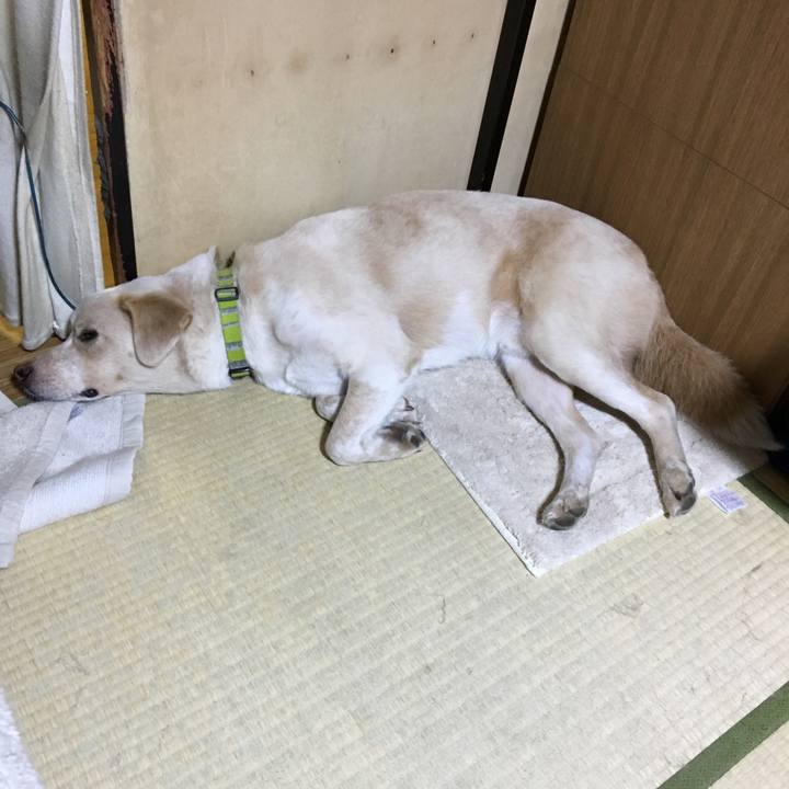 502d7e97 7e53 44de b56e f81073e44c45