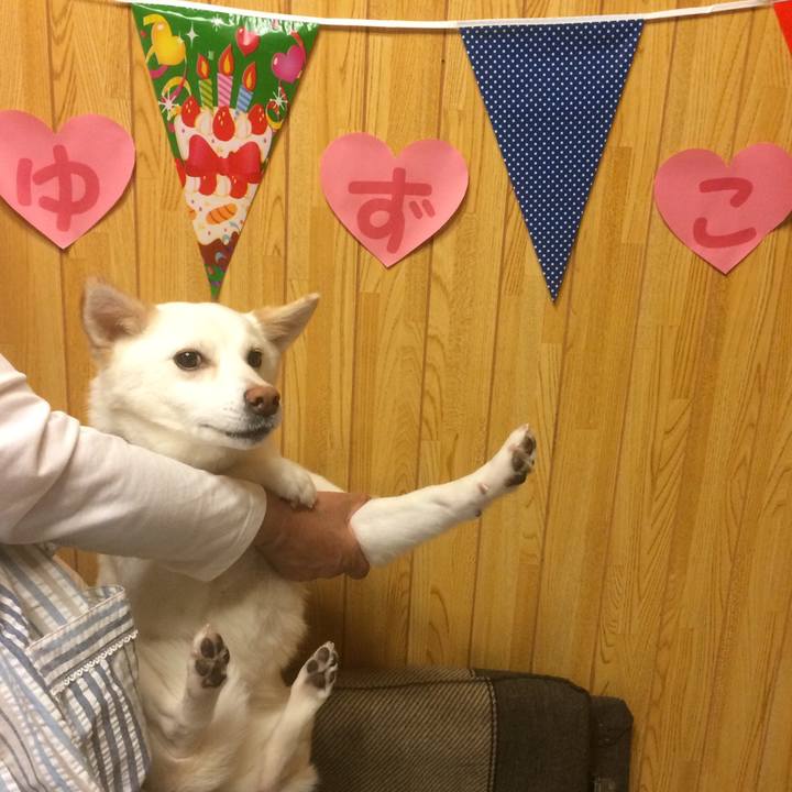 502d8099 c3d4 4437 8b36 f9a3aedd8fc2