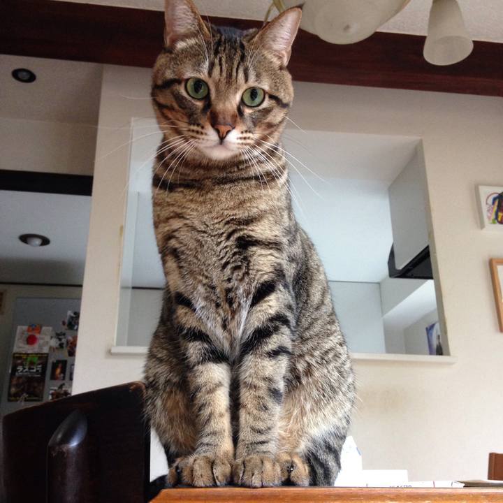 502dabd3 ae92 42a4 82f5 e69ad9e92fc3