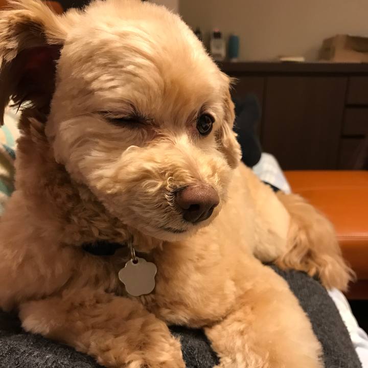 502dfa4f 3395 4f61 8432 4f7d017af1f0