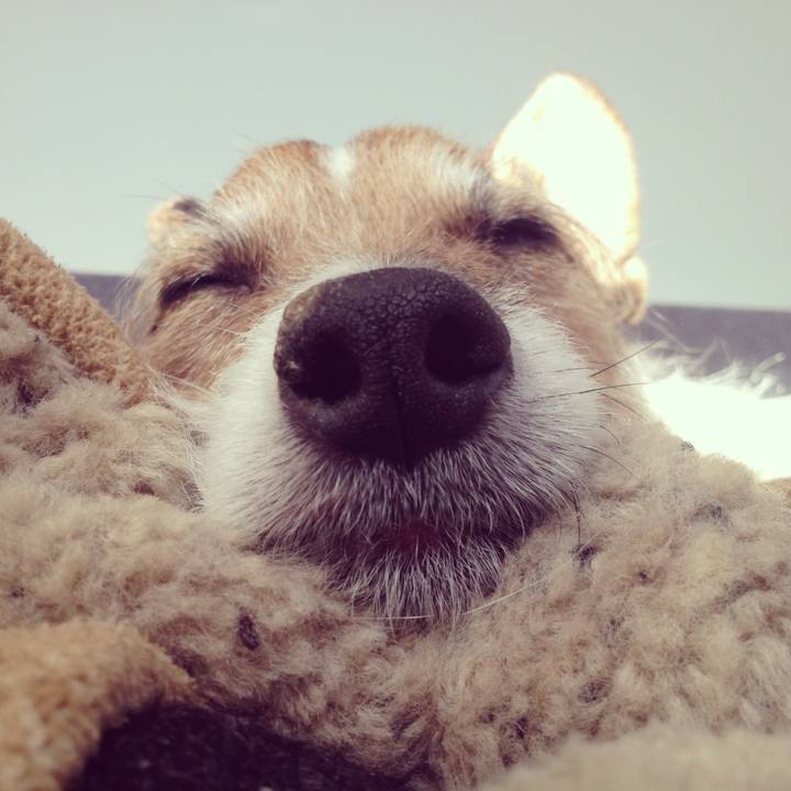 502ea541 bdbe 4c51 ae89 839439833849