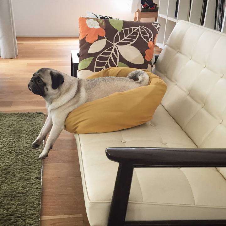 502ee602 04dc 468f a444 bff5b1fa3b46