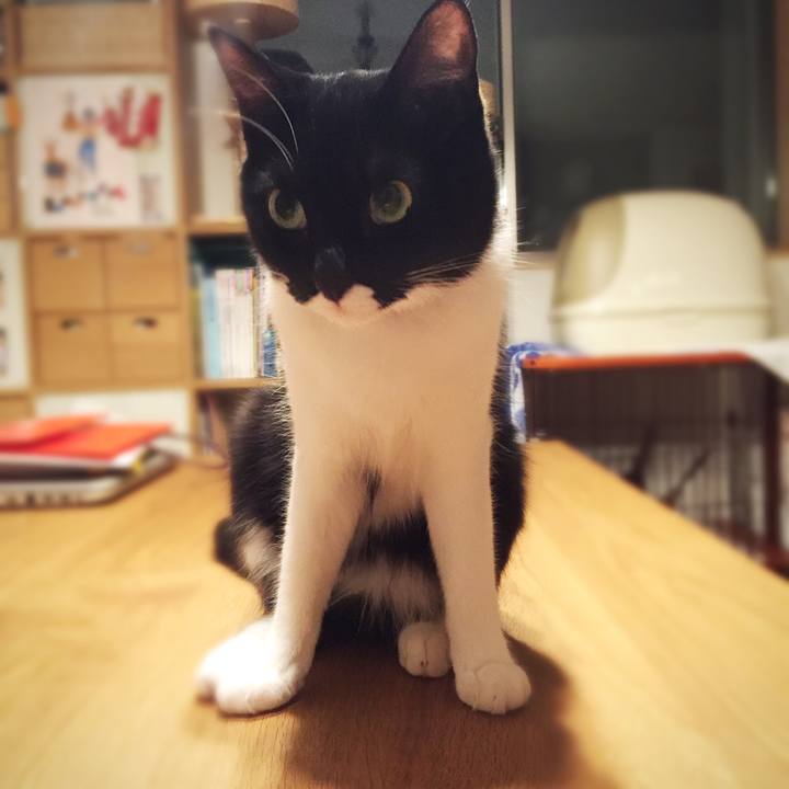 502efef7 560a 40ae b494 5b9adaf9e053