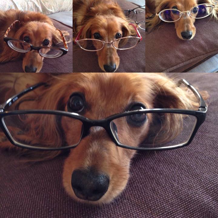 502f5652 2546 4c51 bbf2 c791a9078993