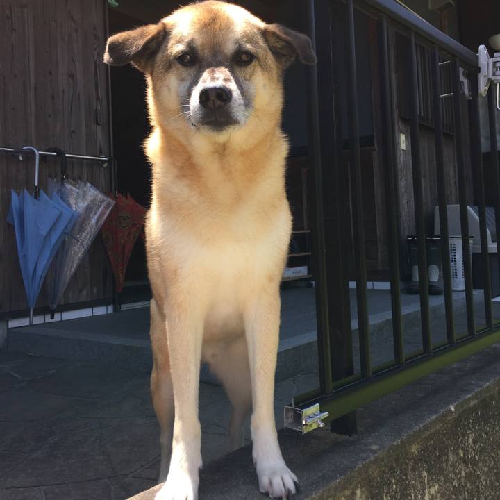 50302f66 7785 4859 9b9c 77c0c034b9f4