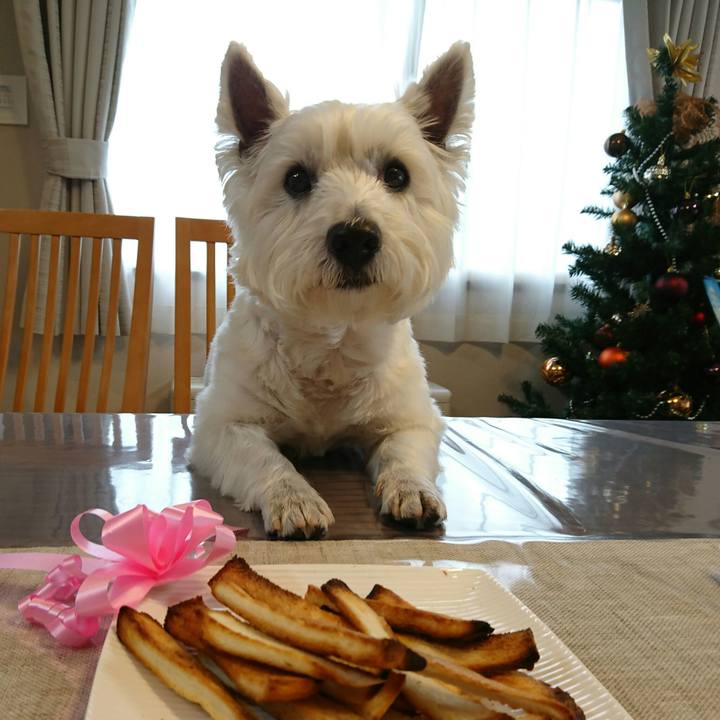 5030d340 c73d 4b38 8e6d fcefe1bc2db7