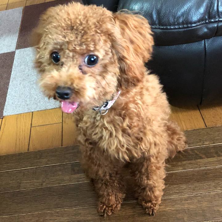 5030ff8c ab21 4570 bb7c 05ec7a5845f8