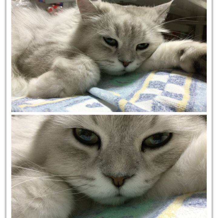 5031f00d e803 4a20 b989 e465b46e6c84