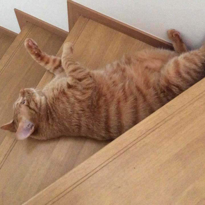 5032007e 557d 494b b230 d5305face942